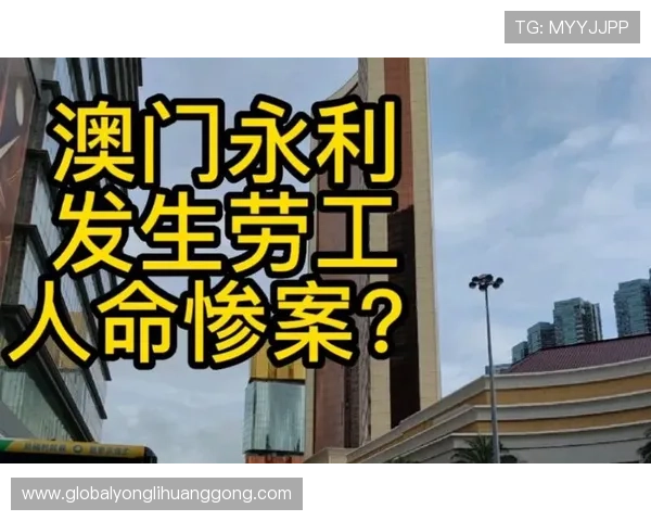 永利皇宫app提现多久到账，官方公告与最新通知汇总