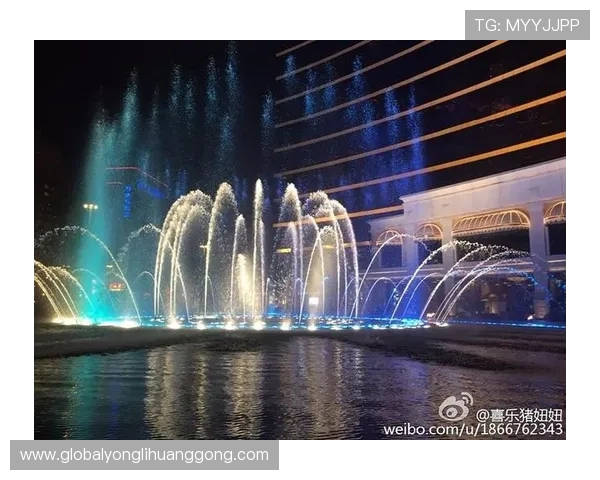 澳门永利手机登录网址官方推荐，提供最便捷的登录方式和优质的客户服务