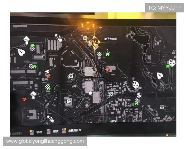 探索格兰角子机娱乐场的丰富游戏类型与最佳投注技巧指南