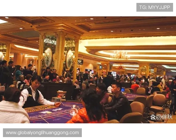 澳门十大顶级赌场最新排名，了解最受玩家青睐的豪华博彩场所与服务优势