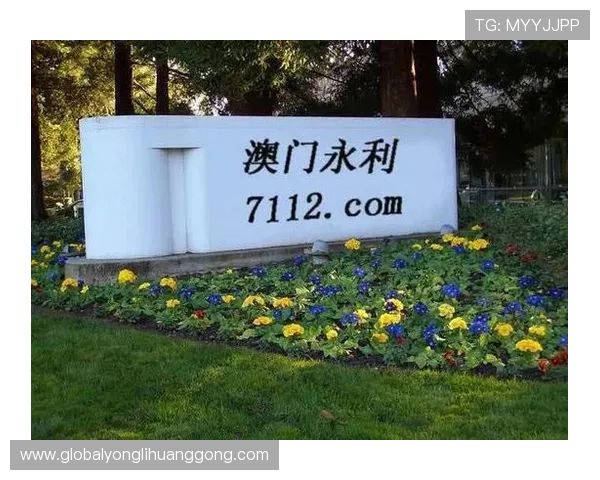 澳门永利网址打不开的情况下，用户应采取的有效应对策略